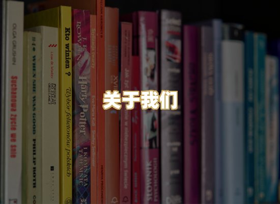 关于我们